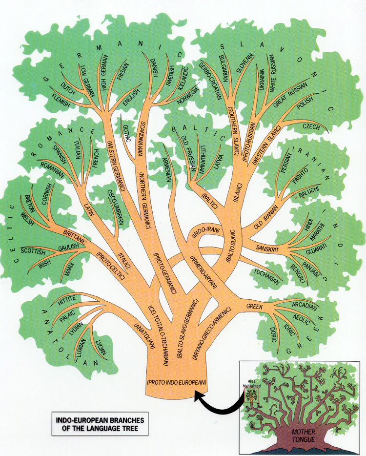 language tree
